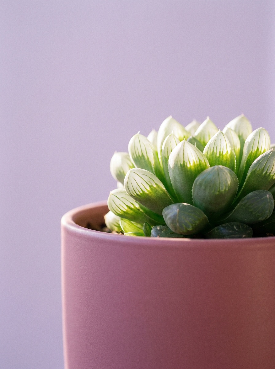 Quarto calmo ao amanhecer com planta na janela